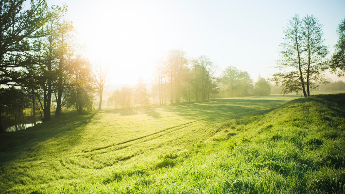 8 x Bijzondere uitvaartlocaties in de natuur